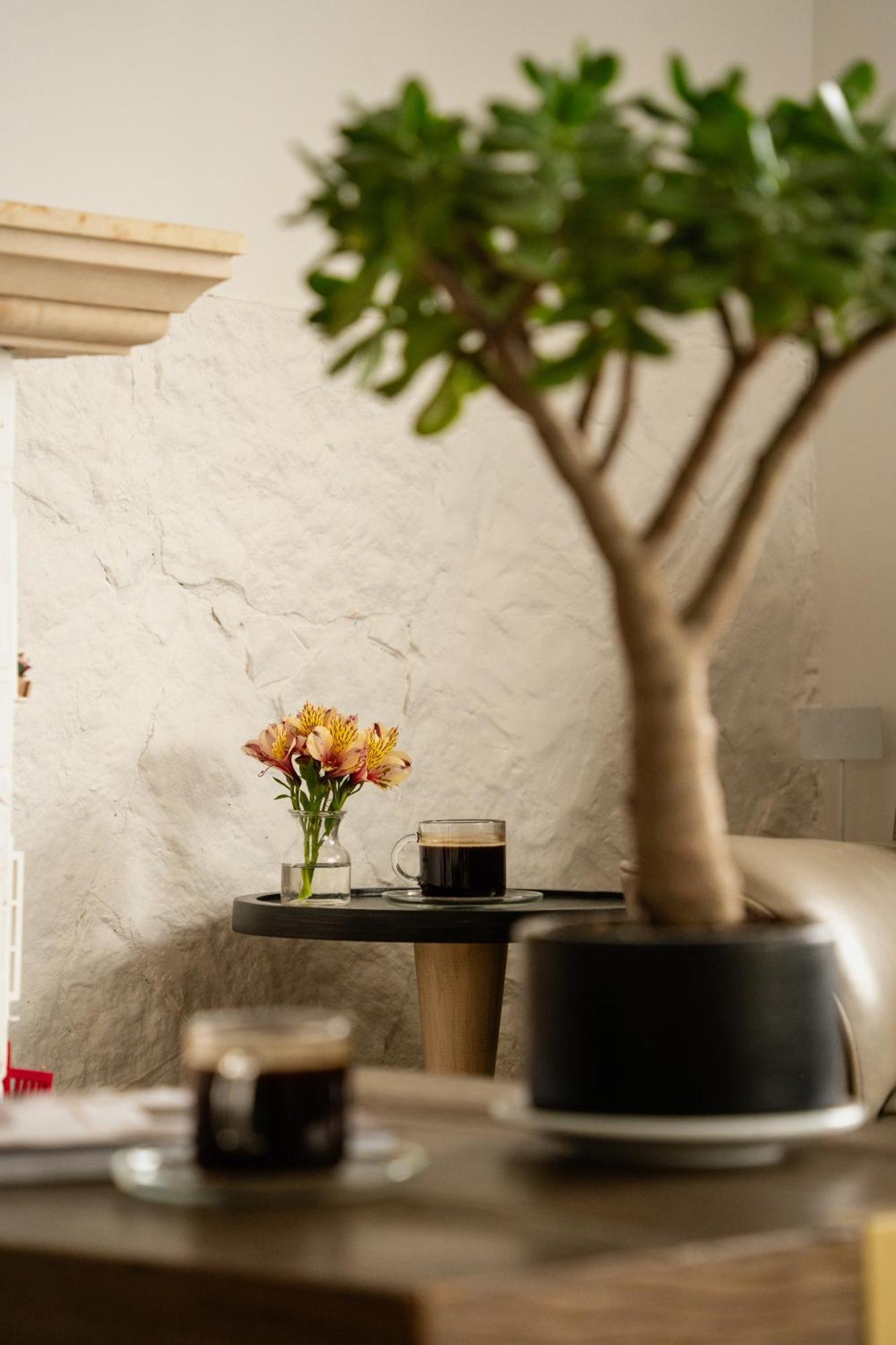 Hotel Boutique San Luis モングイ エクステリア 写真